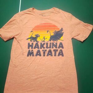 The Lion King Boys Hakuna Matata T-shirt - 2XL (18)